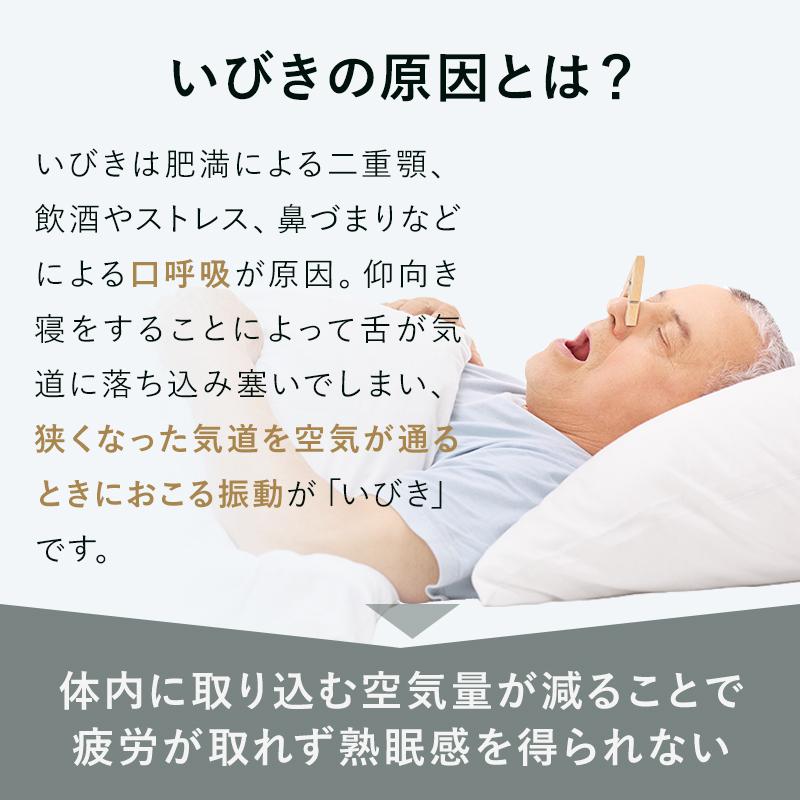 ヤフーショッピング限定 いびき枕EXピロー＆モダールカバーセット  いびき防止 まくら パイプ枕 日本製  睡眠時無呼吸症候群 肩こり 首こり  首狩り族 高さ調整 | Head Hunter | 02