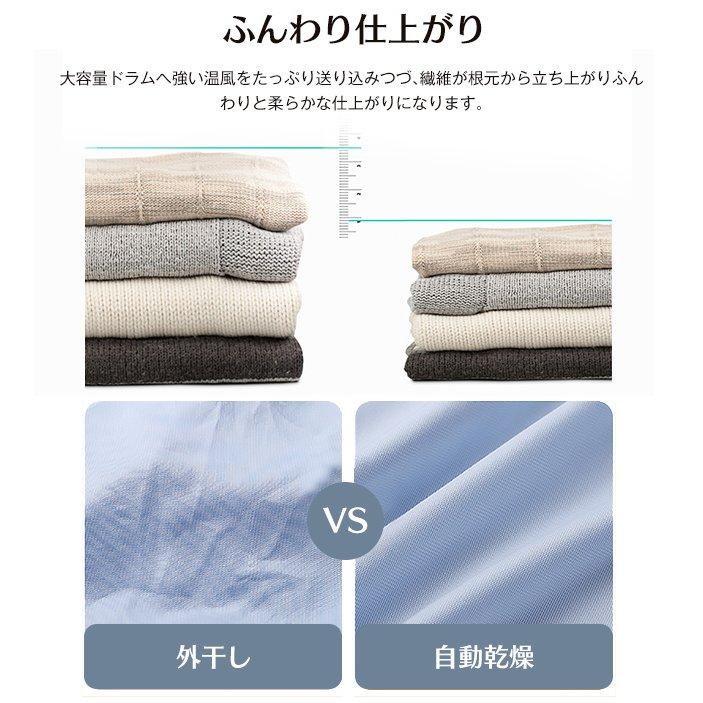 衣類乾燥機 6kg 大型 湿気対策 梅雨対策 カビ対策 花粉対策