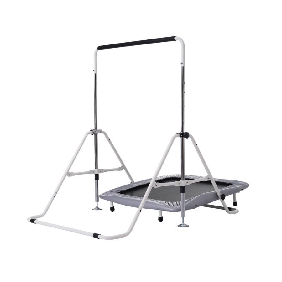 全ストア5%OFFクーポン利用！】鉄棒 トランポリン 室内 屋外 BTM てつ