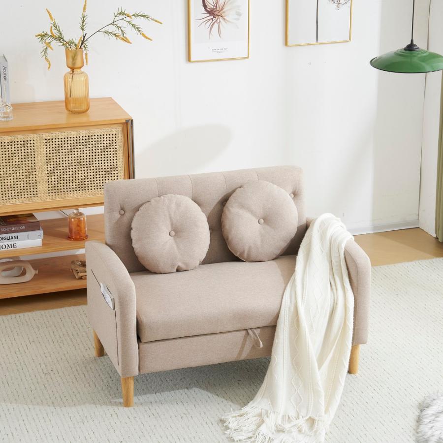 ソファー 2人掛け 収納付き 1人掛け コンパクト クッション2個付き