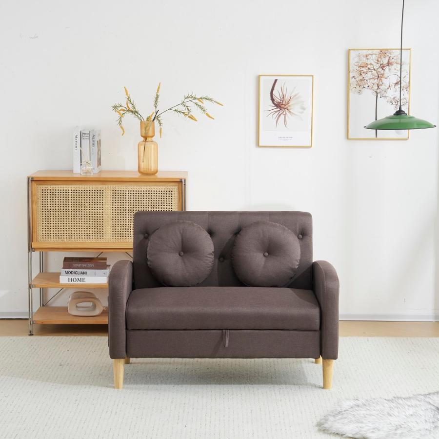 ソファー 2人掛け 収納付き 1人掛け コンパクト クッション2個付き