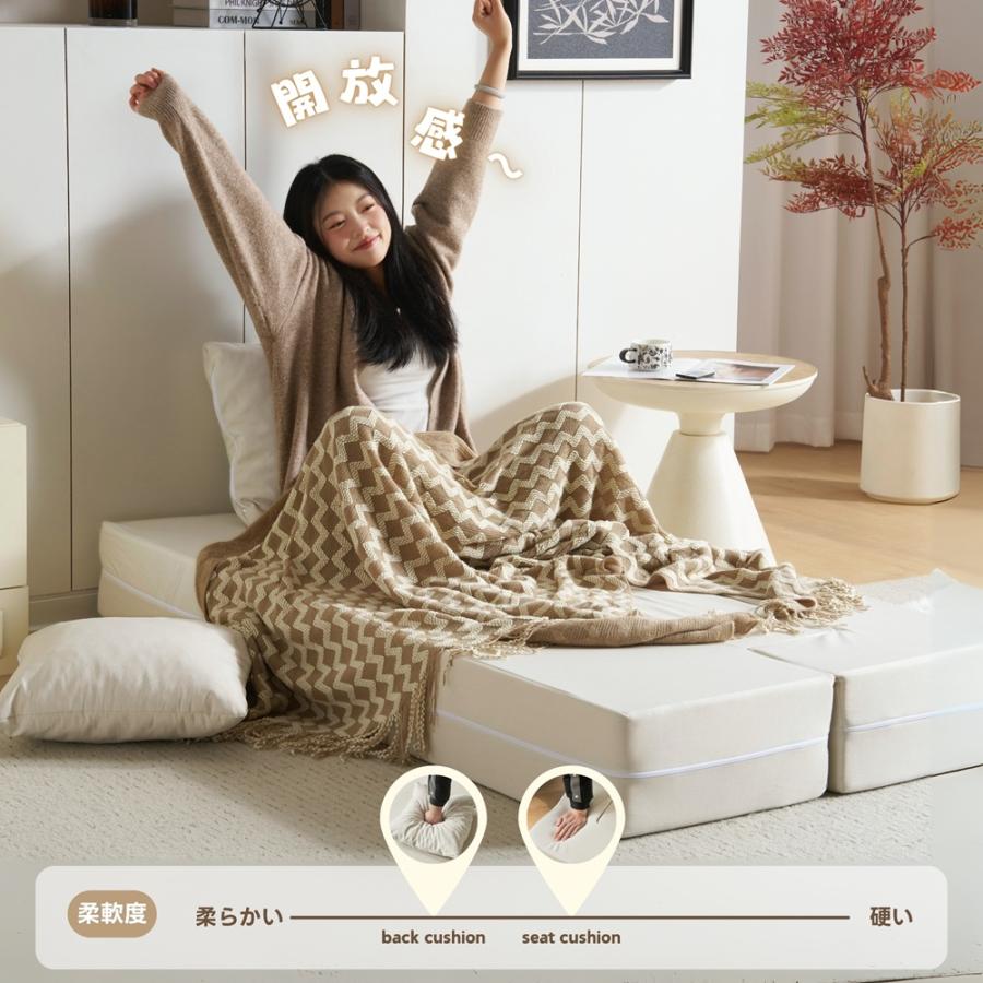 BTM 【レビュー特典付き】【組立不要】ソファベッド ローソファー 2人