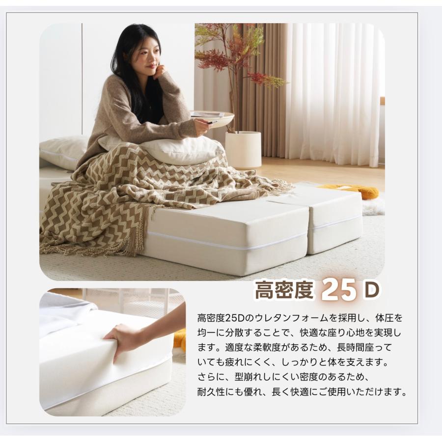 BTM 【全品5%引クーポン！】【組立不要】ソファベッド ローソファー 2