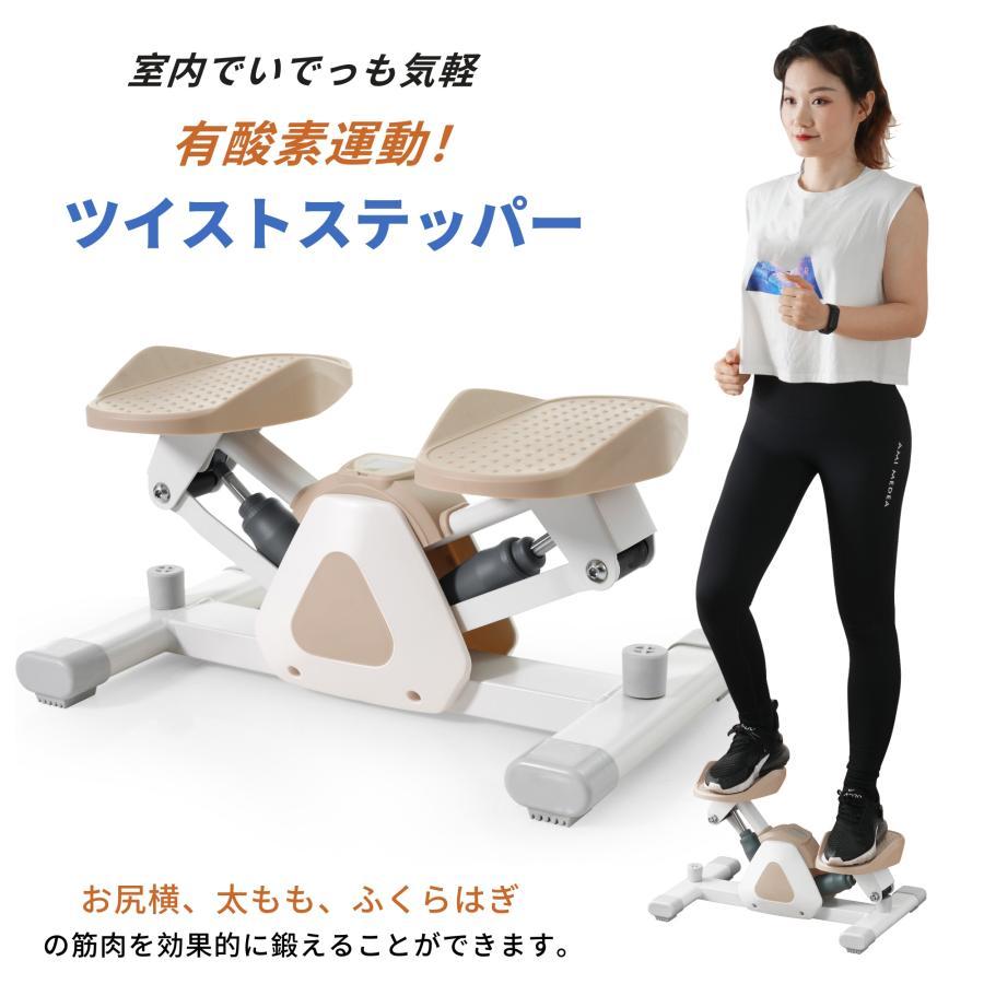 ツイストステッパー 健康器具 ダイエット 静音 有酸素運動 昇降運動