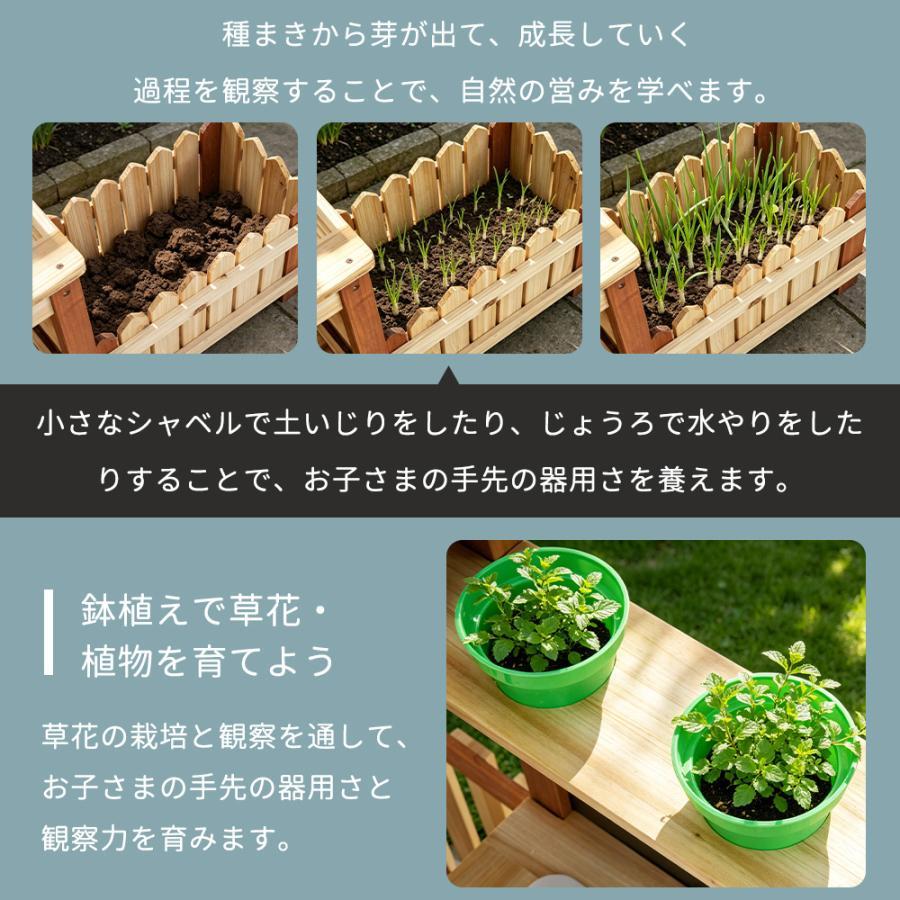 先着50名様5%OFFクーポン！】ガーデニングキット 木製 農園遊びセット