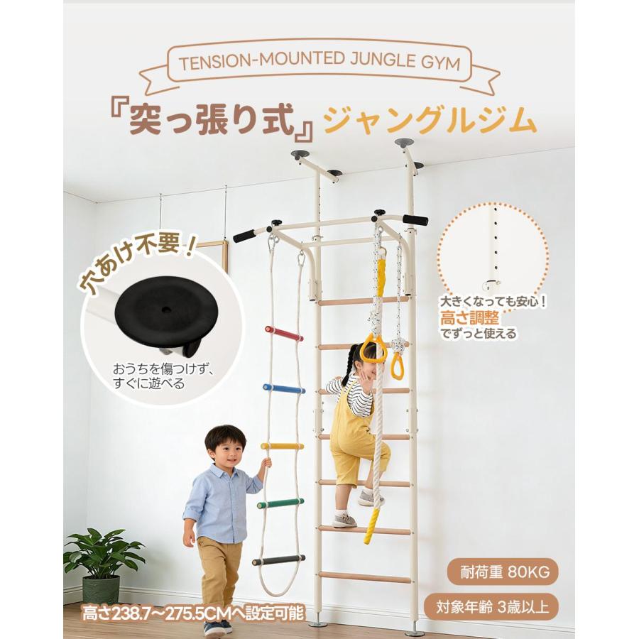 レビュー特典付き】【革新タイプ登場！新作予約】【つっぱり式
