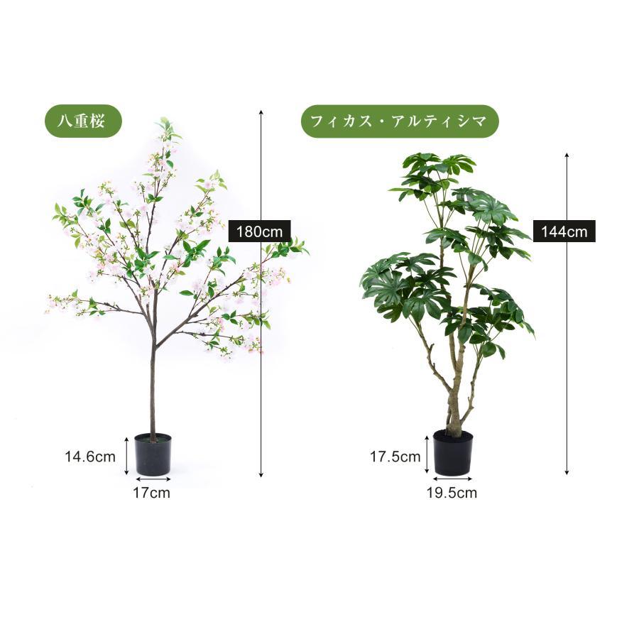 フェイクグリーン 観葉植物 フィカス 八重桜 180cm フェイク 人工観葉 