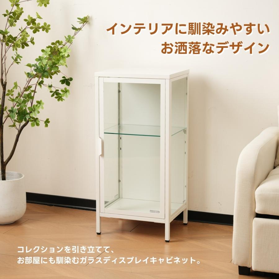コレクションケース 2段 コレクションシェルフ ガラスディスプレイ