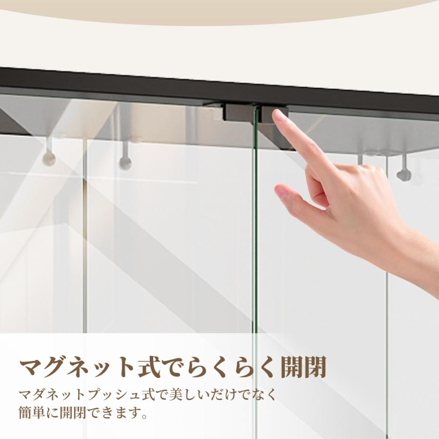 全品5%引クーポン！】コレクションケース 両扉タイプ 大型 ワイド