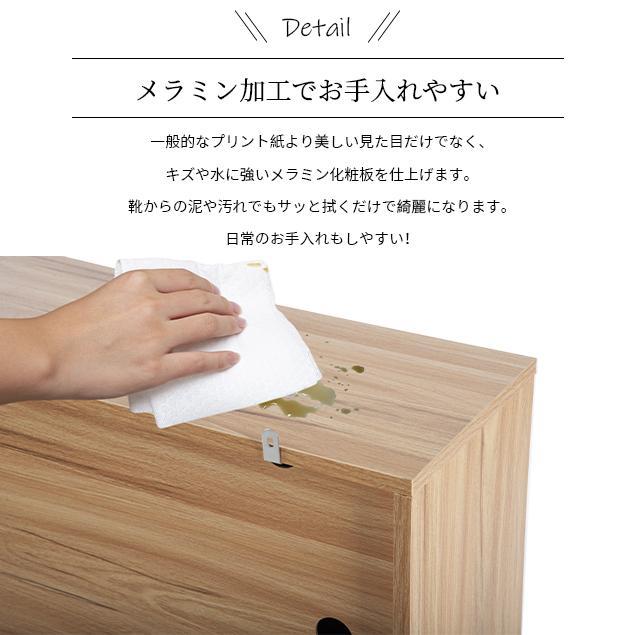 全店5%OFFクーポン利用！】シューズボックス 2段 2層 下駄箱 奥行き