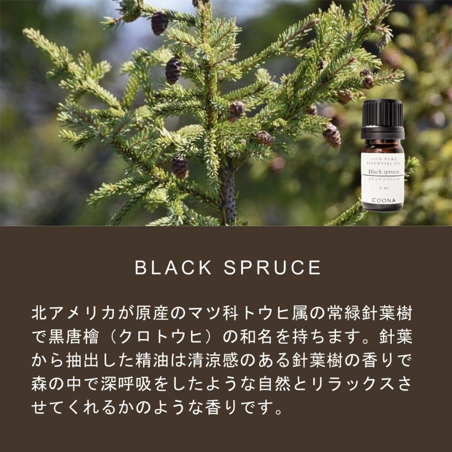 レインボー様 プラナロム バニラ、ベチバー、パチュリー 精油 【公式通販】