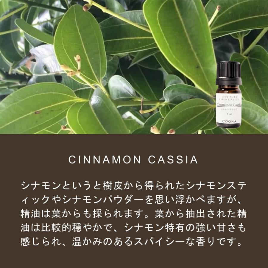 COONA（クーナ） シナモン カッシア 精油 アロマオイル 5ml シナモン