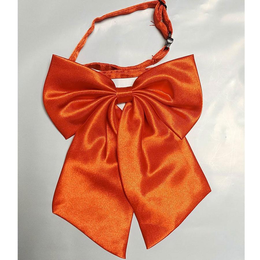 リボンタイ ネクタイ r19 学生 制服 女の子 男の子 入学式 卒業式 フレッシャーズ 送料無料 |  | 02