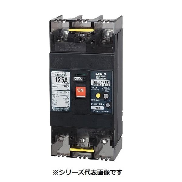 テンパール工業　122EC06W2LF　漏電遮断器 経済タイプ Eシリーズ OC付 時延形 埋込形 125AF 2P2E 100-200V 60A 100/200/500mA ※受注品 [§££]