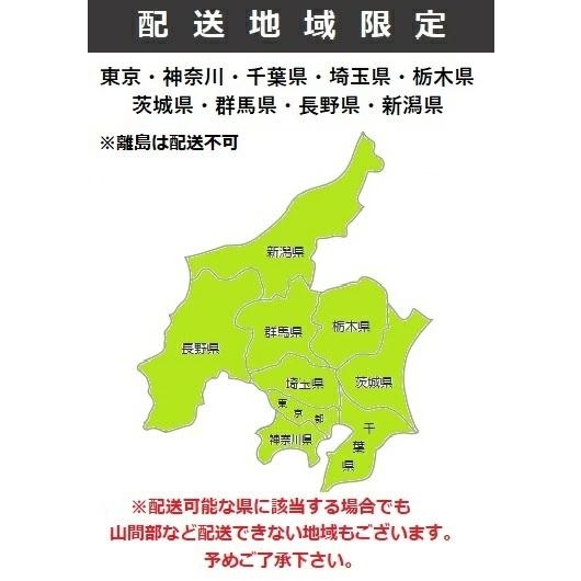 【関東限定配送】ナスタ KS-TLG-A 宅配ボックス 前入前出 機械式・防水タイプ ポスト組合せ 宅配ユニットA 捺印無 ブラック [♪▲§【捺印付と同時購入のみ】]の画像
