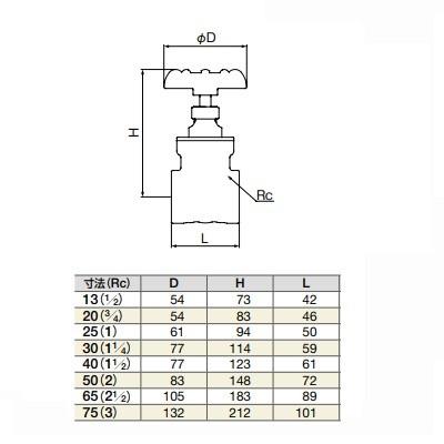 ミヤコ 6点 MIZUNO Boxing Shoes White Black Line Finisher MID 21GA2310