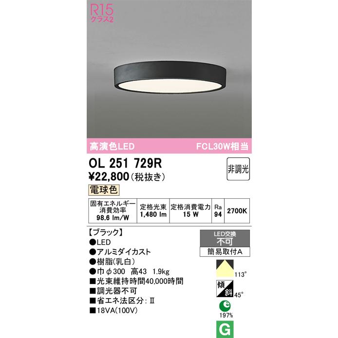 ODELIC オーデリック OL251729R シーリングライト 非調光 LED一