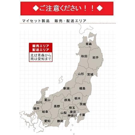 onedo/ワンド/旧マイセット SHO-60TT-[SW] ホワイト SHO型 薄型玄関 