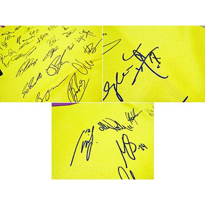 PUMA（プーマ） 【プーマ】2014/15ボルシア・ドルトムント サイン