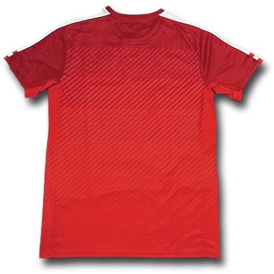 PUMA（プーマ） <プーマ>2016/18オーストリア代表 ホーム 半袖