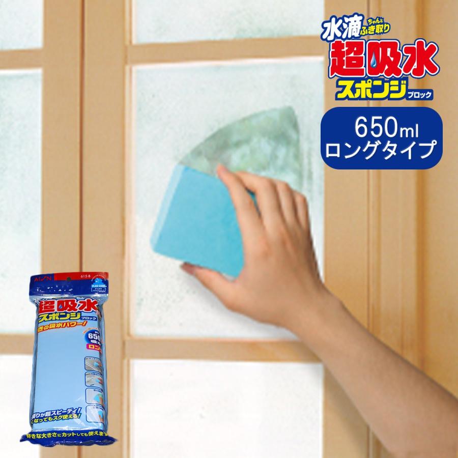 アイオン Aion 超吸水スポンジ ブロック 650ml ロング レジェンド松下 コパ コーポレーションyahoo 店 通販 Paypayモール