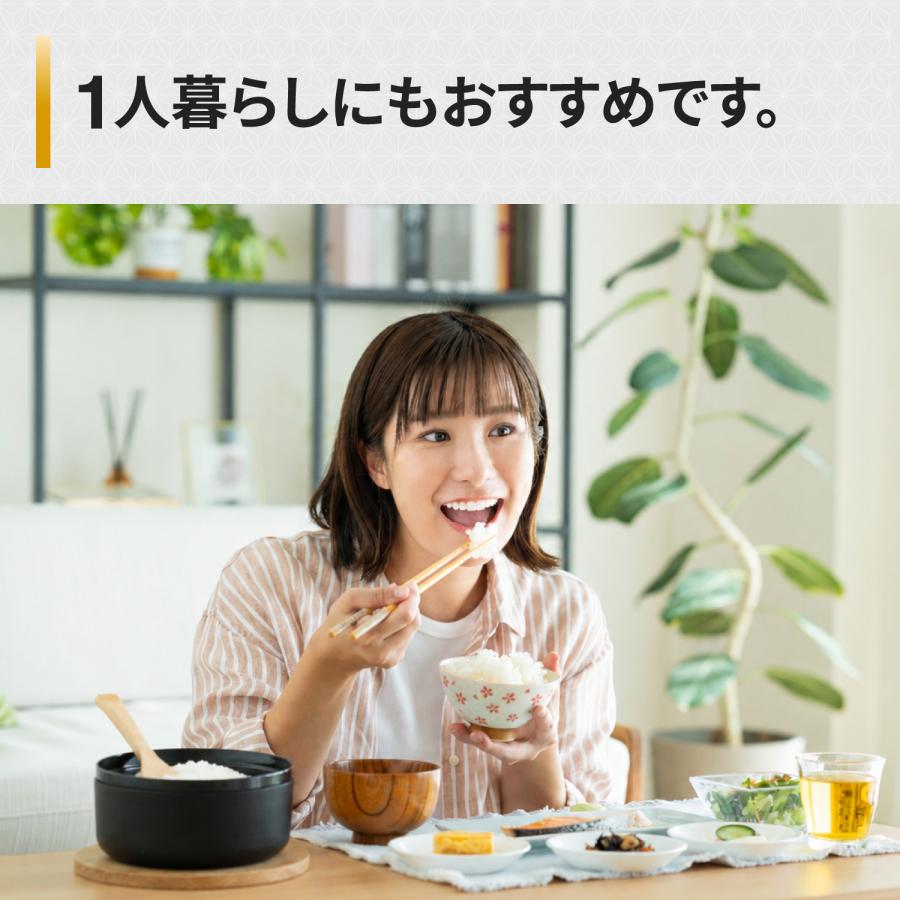 SUMINO いるだけお米たき 電子レンジ 炊飯 1合 2合 おひつ 日本製