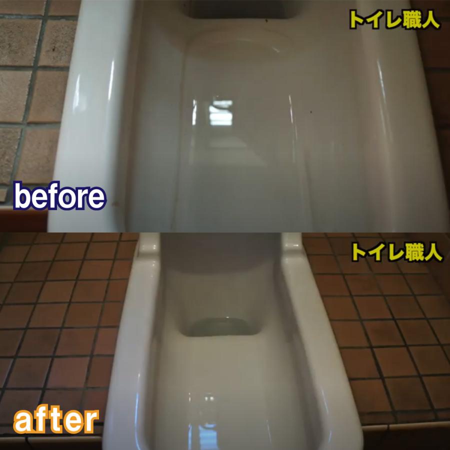 新色追加して再販技 職人魂 トイレ職人 500ml トイレ洗剤 技職人魂 トイレ職人 詰め替えタイプ 1000ml 2個セット 允・セサミ