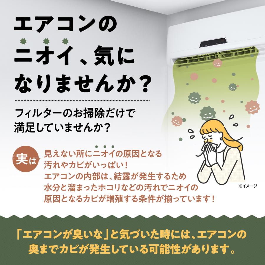 エアコン 洗剤 洗浄 洗浄剤 掃除 スプレー 自分で プロ カビ 汚れ 除菌 消臭 臭い 強力 節電 徹底洗浄 Ag消臭プラス 単品｜copa｜02