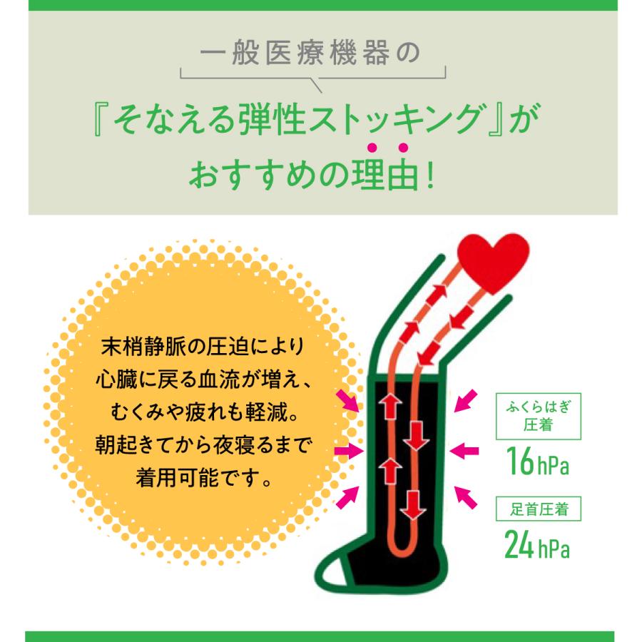 着圧ソックス 一般医療機器 弾性ストッキング むくみ 抗菌防臭 ハイソックス 防災 防災グッズ 災害 避難 車中泊 そなえる弾性ストッキング | ブランド登録なし | 03