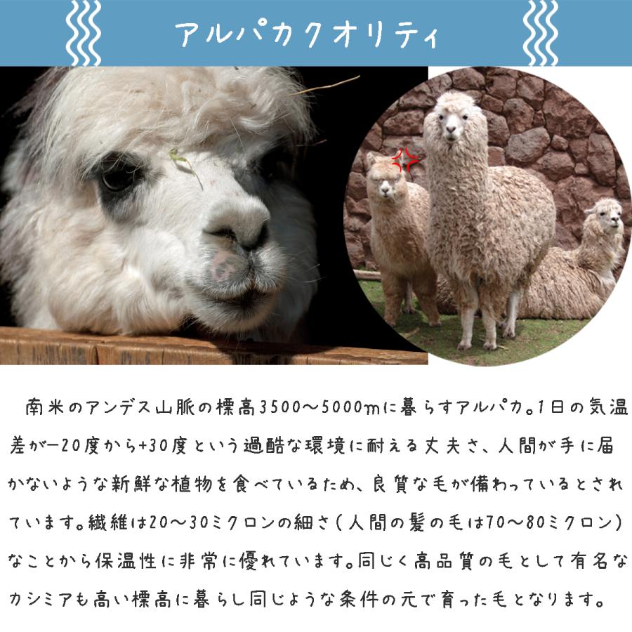 メール便送料無料/レビュー特典あり】アルパカを試そう！□アルパカ
