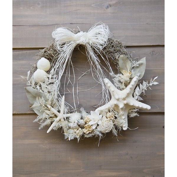 トラスト リース 玄関 夏 ドライフラワー貝殻 珊瑚礁からの贈り物 Asterie ヒトデ シェルリース