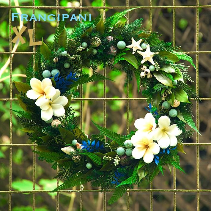 日本メーカー新品 リース 玄関 夏 サマー プルメリア プリザーブド Xl Size ハワイアン Frangipani