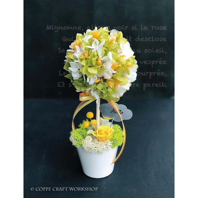 ドライフラワー 手作りキット ハンドメイドキット幸せ イエロートピアリー プリザーブドフラワアレンジ キット レシピ Kit B1702 T Coppe Craft Workshop 通販 Yahoo ショッピング