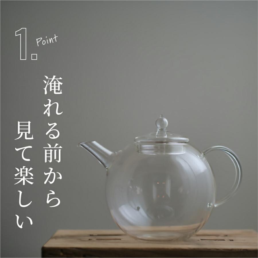 耐熱ガラス創作工房 Craft-U 紅茶ポット 0.5L 1〜2人用 ポット