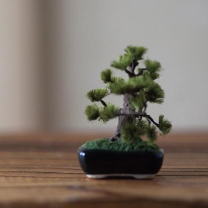 The Bonsai 松 盆栽 ミニチュア かわいい ドールハウス 小さい 植物 インテリア 置物 Pz のレンyahoo 店 通販 Yahoo ショッピング