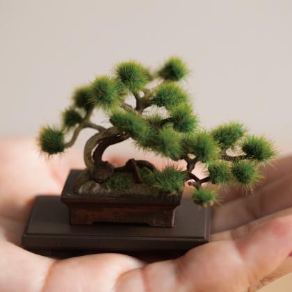 The Bonsai プラモデル 盆栽 ミニチュア プラモデル ドールハウス 小さい 植物 インテ Pz のレンyahoo 店 通販 Yahoo ショッピング