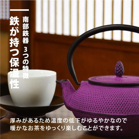 南部鉄器 急須 アラレ 0.6L 新パープル カラーポット 日本製 ロジ