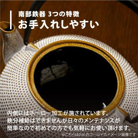 南部鉄器 急須 アラレ 0.4L 白/ゴールド カラーポット 日本製 ロジ