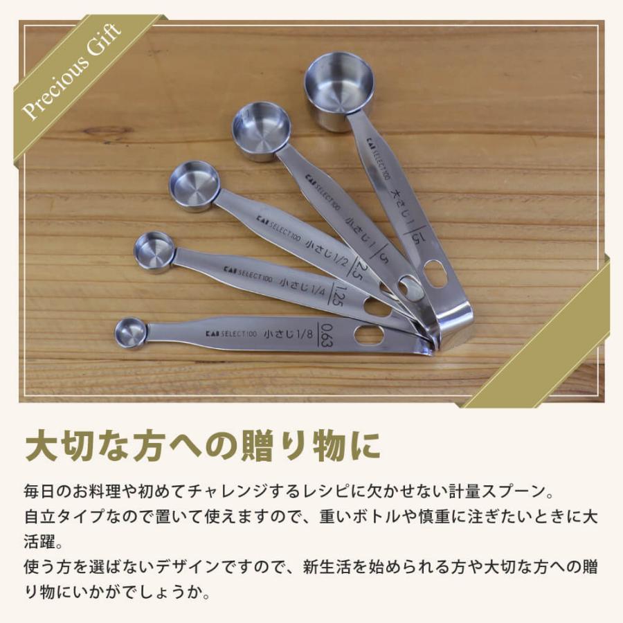 SELECT100 計量スプーン5本組 KAI 大さじ 小さじ 貝印 ステンレス