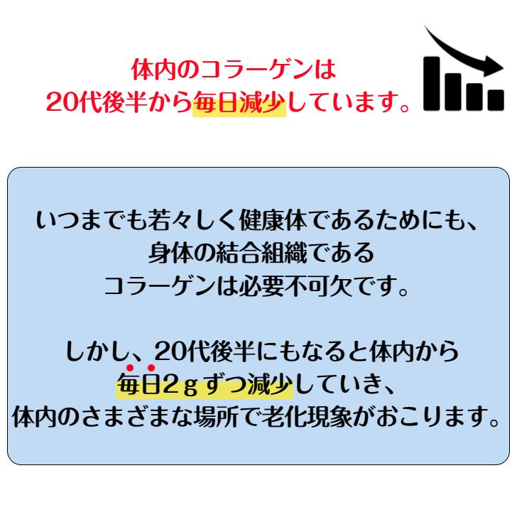 コラーゲンゼリー コラーゲン ゼリー サプリ ペプチド 魚 コラーゲン ナチュラルマリンコラーゲンゼリー レモンジンジャー味 個包装 ドクターウェルネス｜cordial｜03