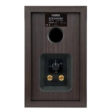 Fostex GX100BJ 2台 | tspea.org