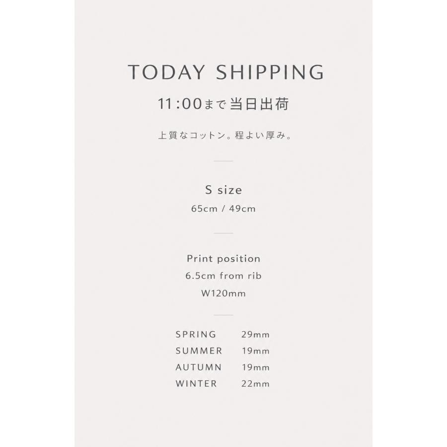 カラーT パーソナルカラー レディースTシャツ 春夏秋冬 Sサイズ【20PJ】 |  | 06