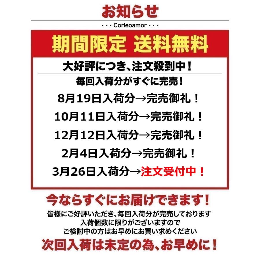 アクセサリーケース 持ち運び ジュエリーケース 携帯用 ジュエリーボックス メンズ ピアス 指輪 ネックレス｜corleoamor｜16