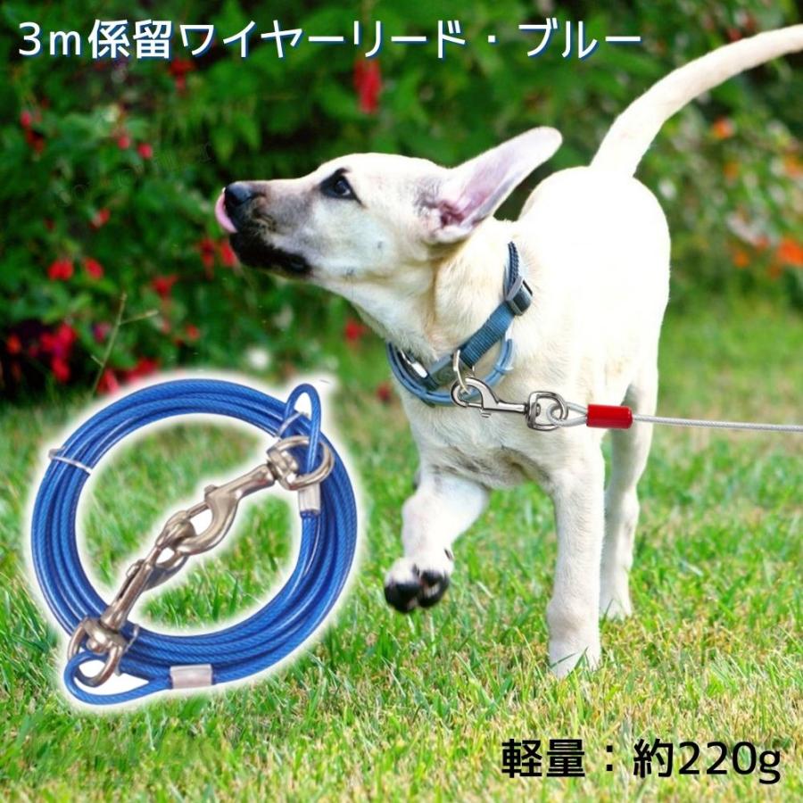 ワイヤーリード 犬 係留リード 3m 絡まない 防錆 小型犬 中型犬