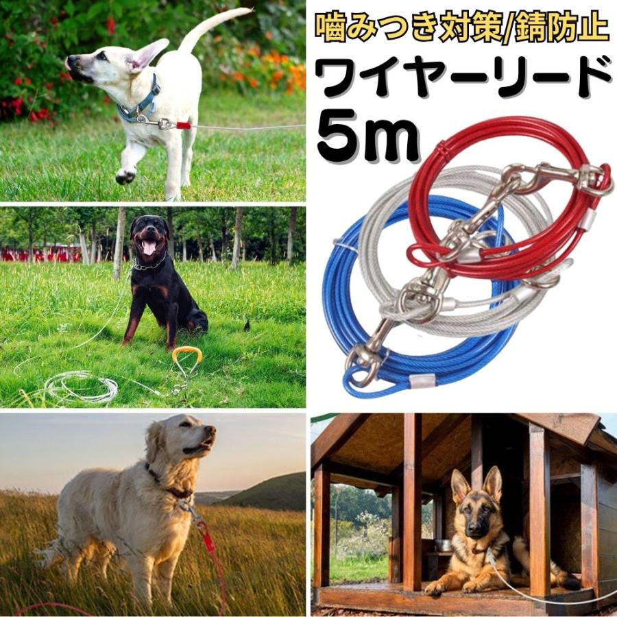 正絹犬用綱 ワイヤーリード 犬 係留リード 5m 絡まない 防錆 小型犬 中型犬