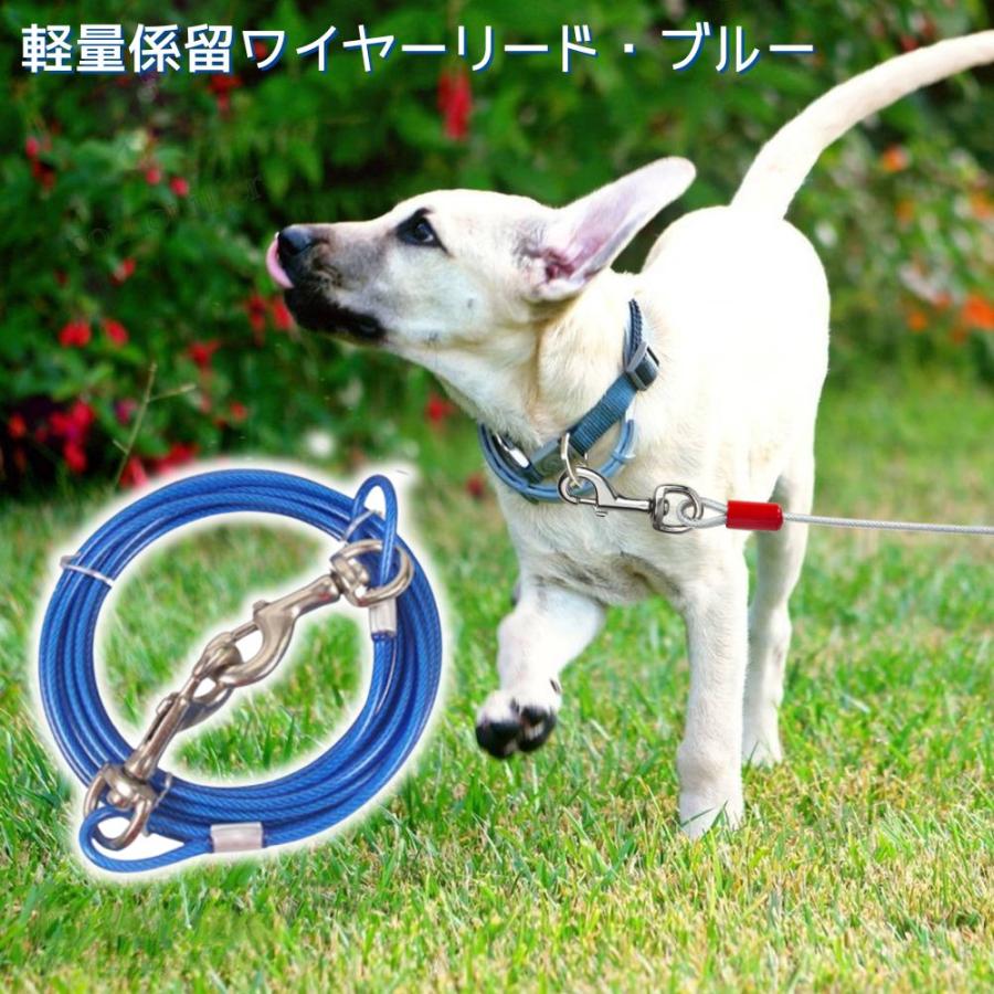 正絹犬用綱 ワイヤーリード 犬 係留リード 5m 絡まない 防錆 小型犬 中型犬
