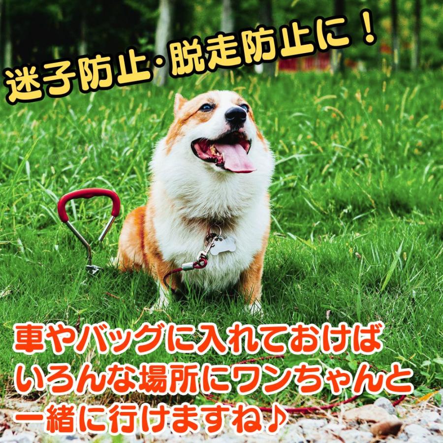 ワイヤーリード 犬 係留リード 5m 絡まない 防錆 小型犬 中型犬