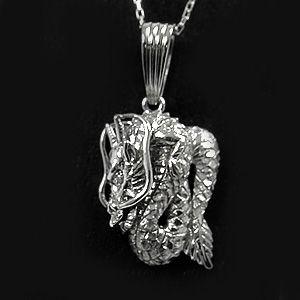 ダイヤモンド プラチナ メンズ ネックレス ドラゴン 龍 0.005ｃｔ ペンダント ＰＴ900 竜の画像
