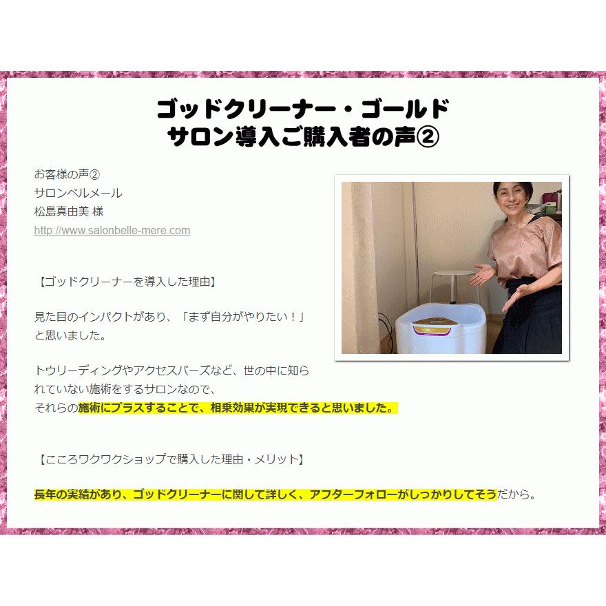 ゴッドクリーナー・ゴールド通販 GOD-CLEANER・GOLD【サロン仕様 ゴッドクリーナー・ゴールド通販 GOD-CLEANER・GOLD【サロン仕様