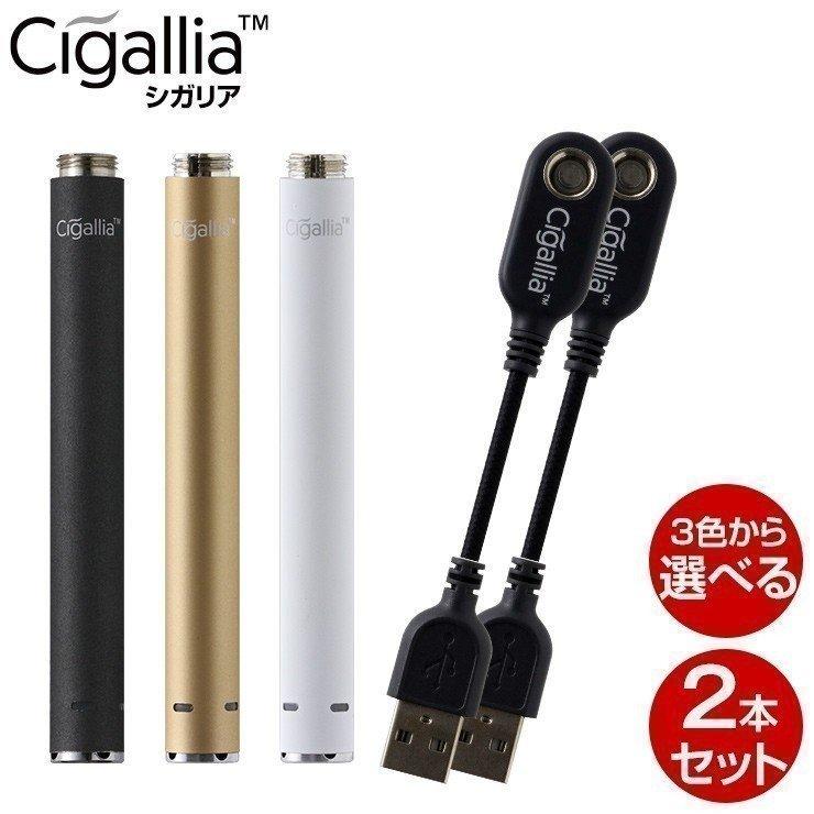 プルームテック 本体 互換バッテリー 2本セット 新型 電子タバコ スターターキット 爆煙 Ploom Tech お知らせ機能付き Usb 充電器 予備 Cigallia シガリア ココロミクラブpaypayモール店 通販 Paypayモール